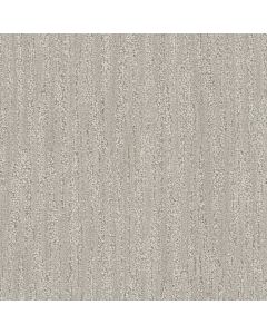 Dreamweaver Redwood Whitebark Carpet - DW-8638-2700