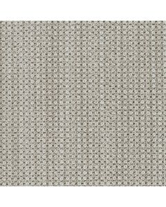 Dreamweaver Montreal II Shellbrook Carpet - DW-8742-8580