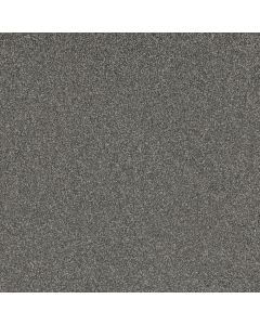 Dreamweaver No Limits II Sparkle Carpet - DW-9346-4002