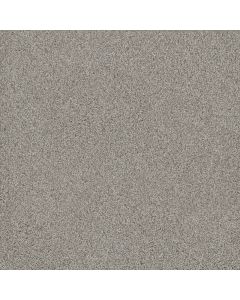 Dreamweaver No Limits II Beach Sand Carpet - DW-9346-4064