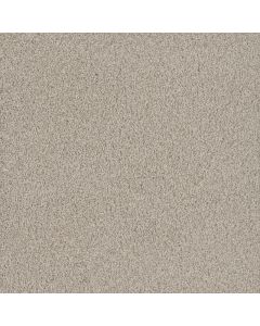 Dreamweaver No Limits III Aspen Glow Carpet - DW-9354-5165