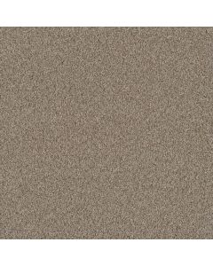 Dreamweaver No Limits III Ambiance Carpet - DW-9354-5185
