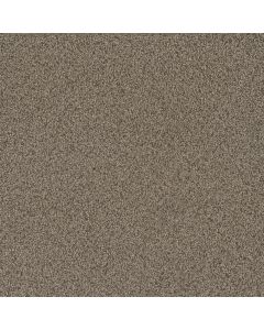 Dreamweaver No Limits III Madura Sands Carpet - DW-9354-6117