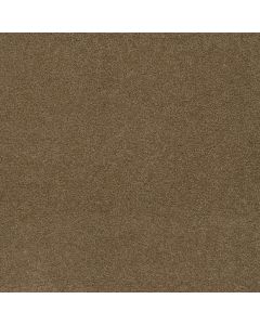 Dreamweaver SP250 Honey Beige Carpet - DW-SP250-510