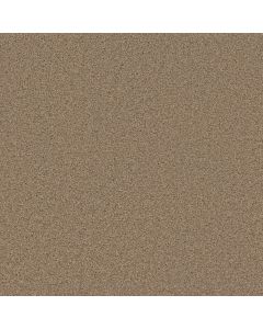 Dreamweaver SP250 Sawgrass Carpet - DW-SP250-701