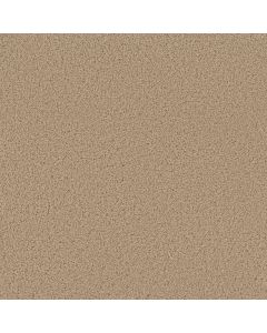 Dreamweaver SP250 Cookie Dough Carpet - DW-SP250-705