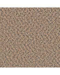 Dreamweaver SP250 Fossil Carpet - DW-SP250-742