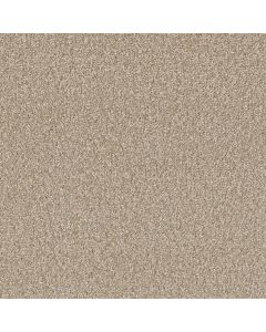 Dreamweaver SP251 Cameo Carpet - DW-SP251-174