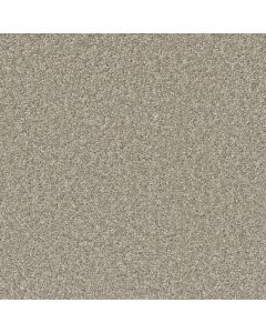 Dreamweaver SP251 Clam Shell Carpet - DW-SP251-182
