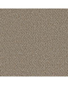 Dreamweaver SP251 Siesta Carpet - DW-SP251-2068