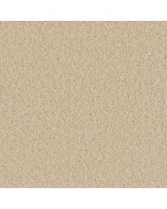 Dreamweaver SP251 Classic Ivory Carpet - DW-SP251-4193