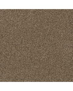 Dreamweaver SP251 Shimmer Carpet - DW-SP251-711