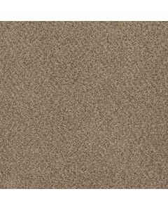 Dreamweaver SP251 Sandlot Carpet - DW-SP251-753