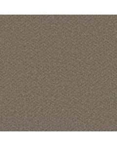 Dreamweaver SP251 Cinder Carpet - DW-SP251-835
