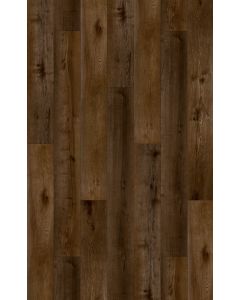 ELYSIAN CLICK PLANK