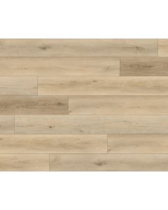 PARADIGM FLAX PPSPC2025 PERFORMER 20MM COLLECTION
