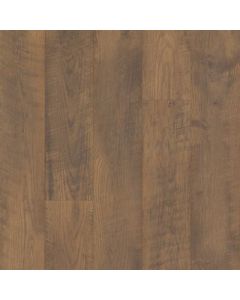 GINGERGLOW OAK, CDL79-01, SAWMILL RIDGE, BY MOHAWK