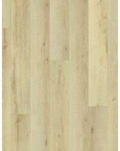 GRACIOUS OAK, 03105, CORETEC PLUS HD 7X60, VV806