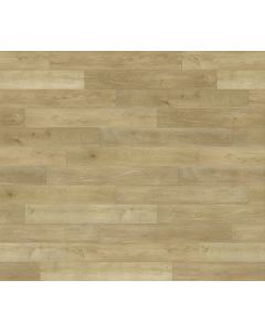 PARADIGM GUILD CON2041PAD CONQUEST COLLECTION