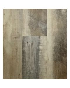 JAVIS, J6583, PACIFIC BEAUTY, ECO TREE DYNAMICS