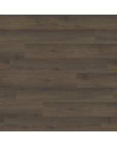 PARADIGM KINGFISHER PPPSPC2022 PERFORMER PLUS COLLECTION