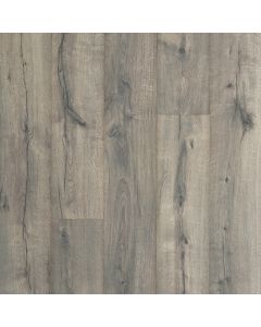 LUNAR OAK, CDL91-03, CASTLEBRIAR, BY MOHAWK