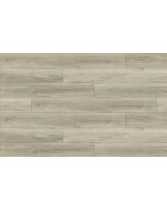 PARADIGM MACADAMIA PPSPC2033 PERFORMER 20MM COLLECTION