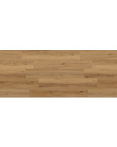 Megaclic Meridian MCAS-3205 — close-up plank, overhead view