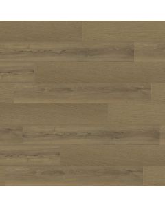 PARADIGM MOCKINGBIRD PPPSPC2023 PERFORMER PLUS COLLECTION