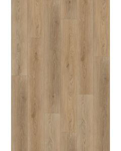 MYSTIC CLICK PLANK