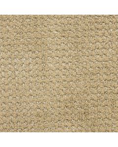 Masland Alpha Electrode Carpet - 9599-237