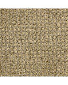 Masland Alpha Ionic Carpet - 9599-335