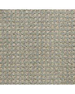 Masland Alpha Daydream Carpet - 9599-641