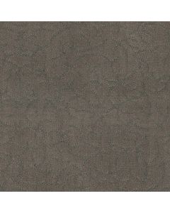 Masland Altair Planet Carpet - 9563-566