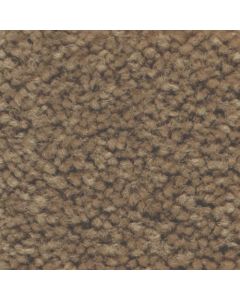 Masland Americana Bighorn Carpet - 9439-646