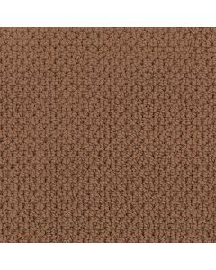 Masland Beachfront Fireside Carpet - 9704-278