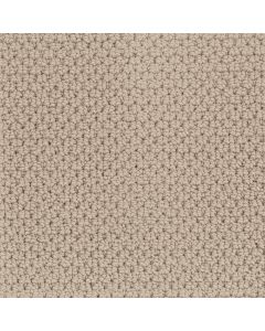 Masland Beachfront Coastal Carpet - 9704-738