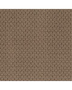 Masland Beachfront Boardwalk Carpet - 9704-828