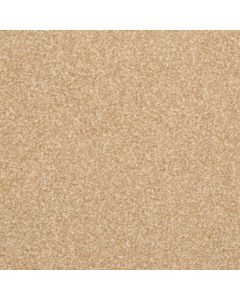 Masland Beacon Hill Clay Pot Carpet - 9527-250