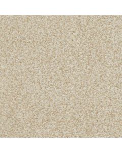 Masland Boca Raton Ageless Carpet - 9650-213