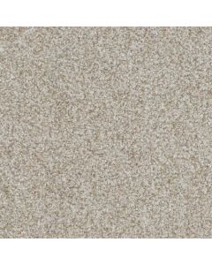 Masland Boca Raton Nonstop Carpet - 9650-321