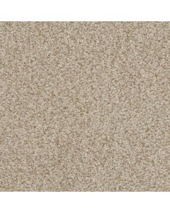 Masland Boca Raton Amazing Carpet - 9650-718