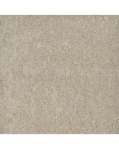 Masland Buena Vida Bota Carpet - 9680-857