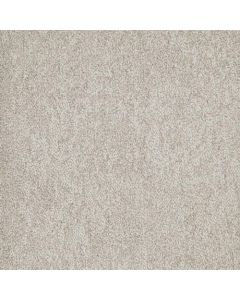 Masland Buena Vida Casita Carpet - 9680-858