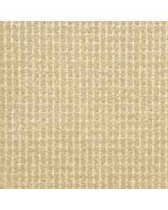 Masland Bungalow Clam Bake Carpet - 9643-749