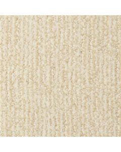 Masland Casa Grande Edgecomb Carpet - 9518-101