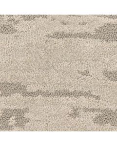 Masland Cosmo Visualize Carpet - 9621-858