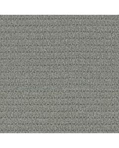 Masland Defined Dried Moss Carpet - 9717-679