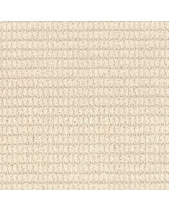 Masland Defined Cameo Carpet - 9717-711