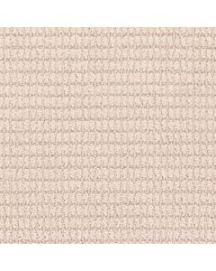 Masland Defined Champagne Carpet - 9717-712